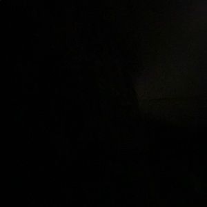 Meet your Posher, Trenyce